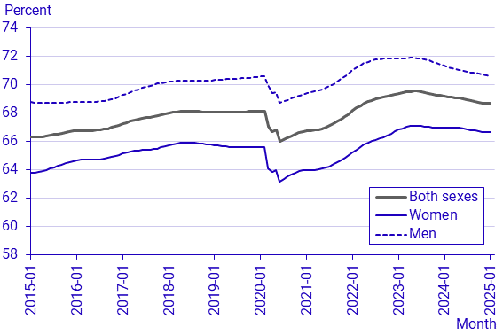 Labour Force Surveys (LFS), January 2025