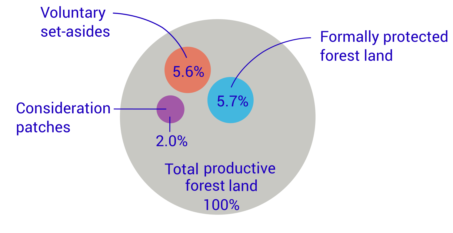Types of forest land in the statistics, as a percentage of all productive forest land