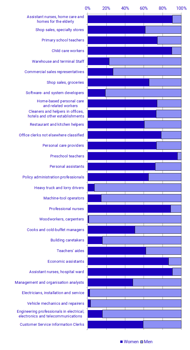 Most common occupation was “assistant nurses, home care and homes for the  elderly”