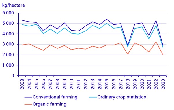 Graph: Yields for spring wheat from organic farming and conventional farming, as well as from the ordinary crop statistics 2003–2023