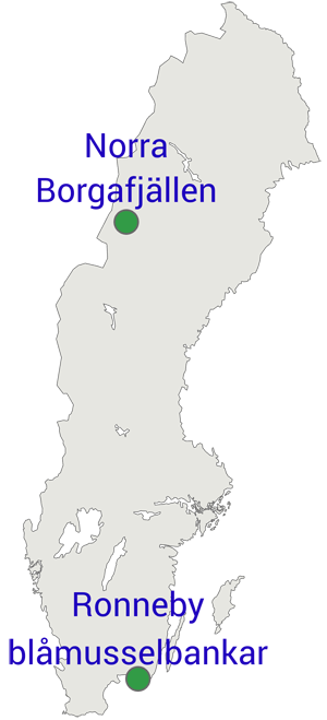 Karta: De största nya naturreservaten, Norra Borgafjällen och Ronneby blåmusselbankar    