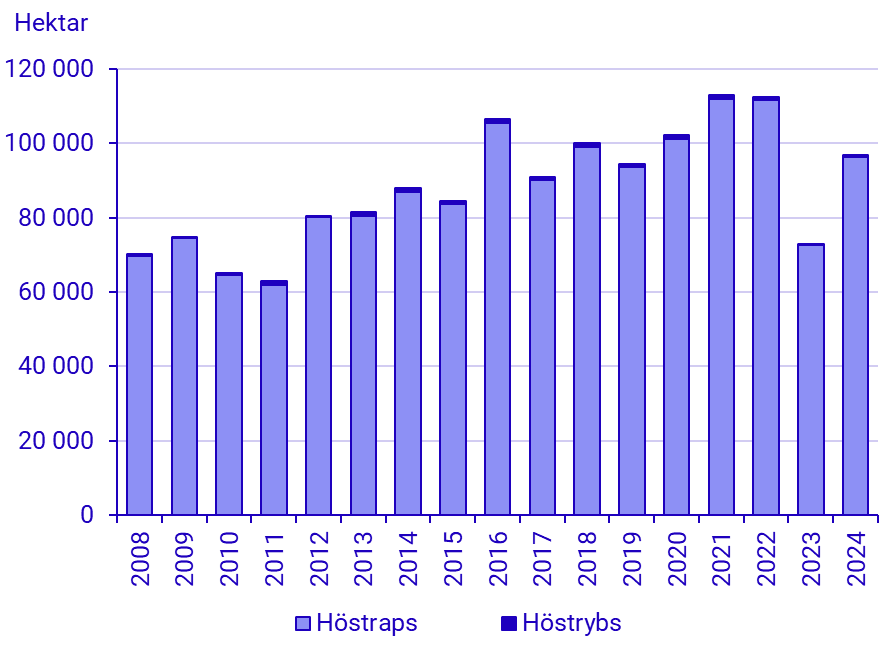 diagram: Höstsådda arealer av oljeväxter 2006–2024