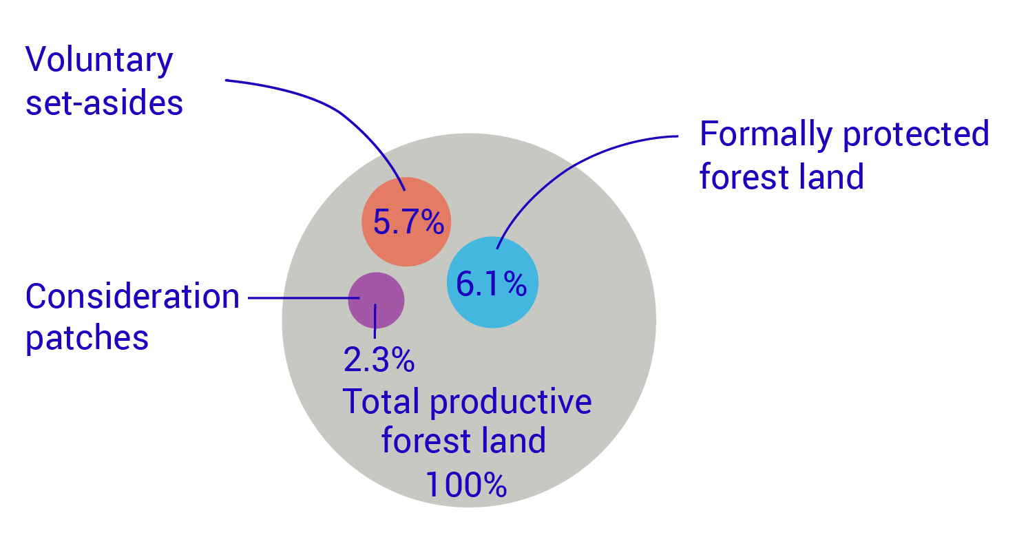 Graph: Types of forest land in the statistics, as a percentage of all productive forest land, 2023