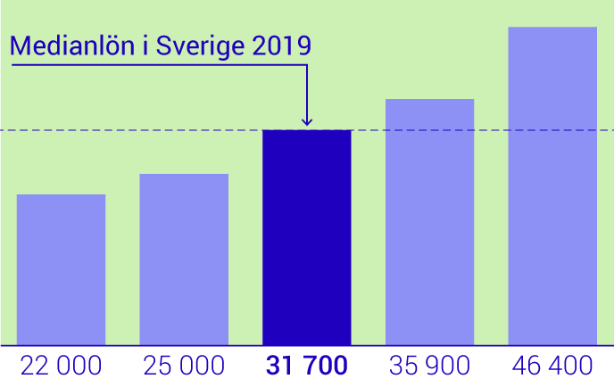 Skötare lön 2017